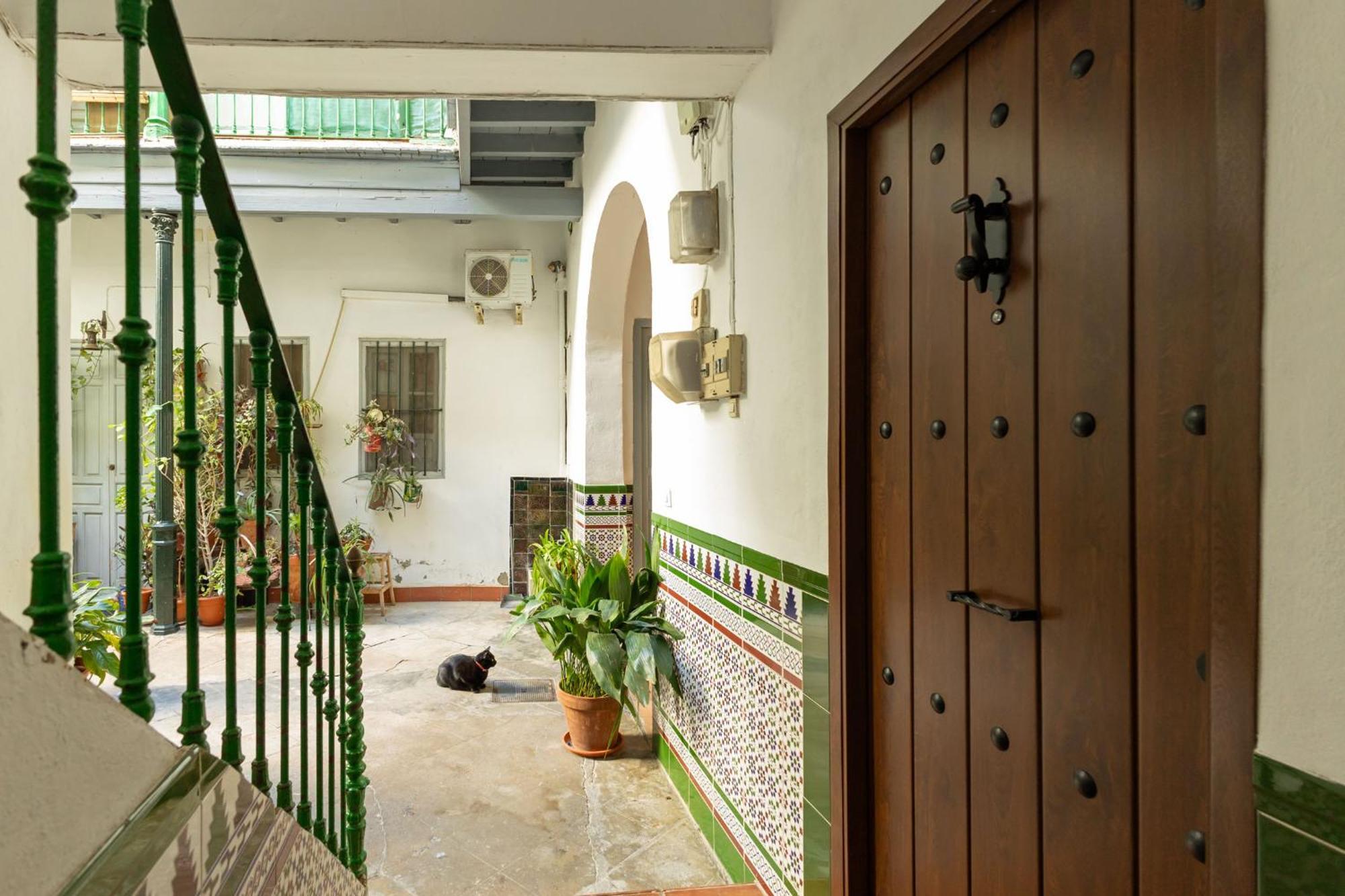 Modern Spacious Apartment Central Of Sevilla Exterior foto
